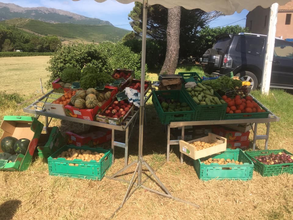 SARL Polyculture - Elevage - Patrick Tomei - Cap Corse Capicorsu