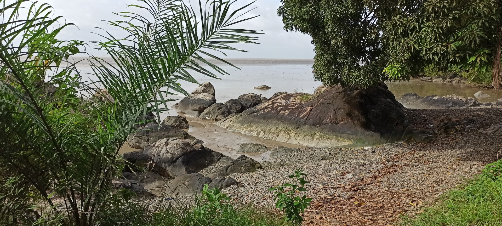 marker24436