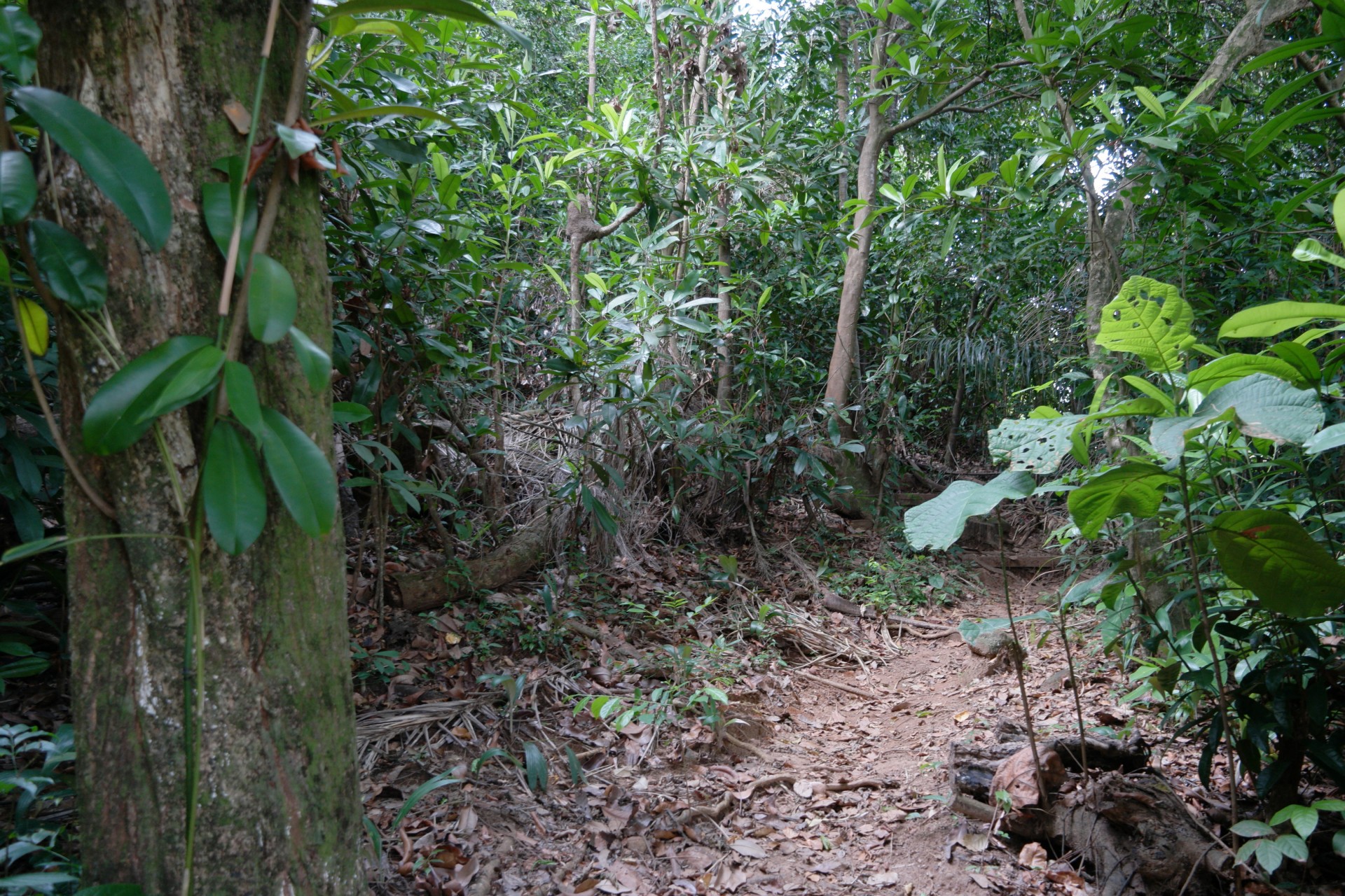 marker24470