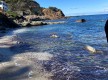 Plage de la Calella© - TOMINO - TUMINU CAP CORSE - CAPICORSU