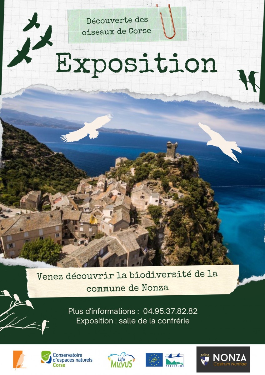 Exposition - Découverte des oiseaux de Corse - Confrérie