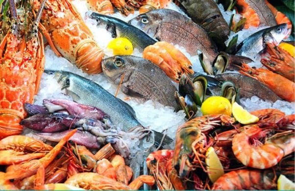 Pesceria Capicursina - Macinaggio - Cap Corse Capicorsu