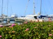 Puerto Deportivo Pasito Blanco
