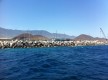 Puerto Deportivo de Güimar