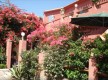 Les Bougainvilliers - Macinaggio - Cap Corse