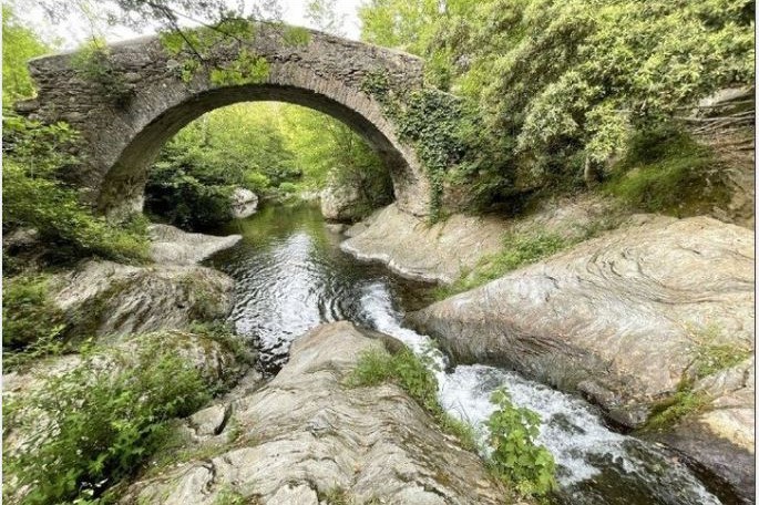 Balades Guidées 2023 - Petra Viva - Pietracorbara - Cap Corse Capicorsu