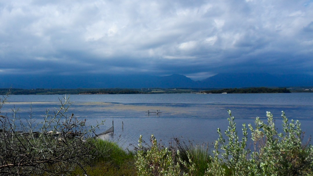 Etang d'Urbino