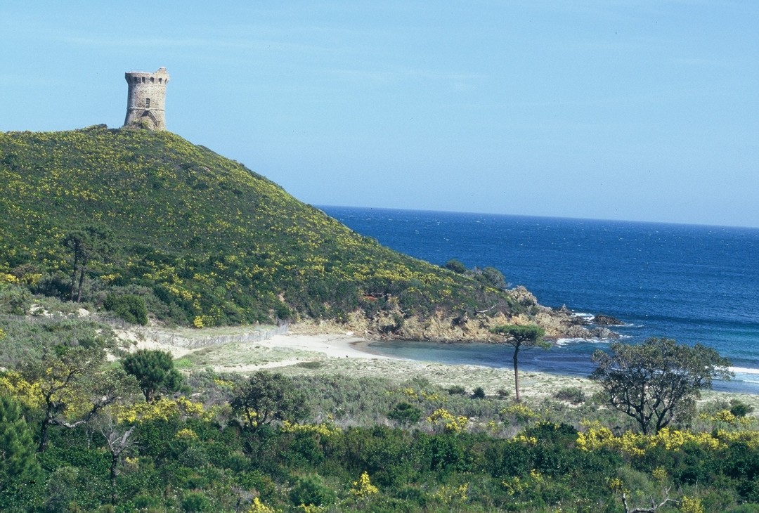 Mouillage de Fautea