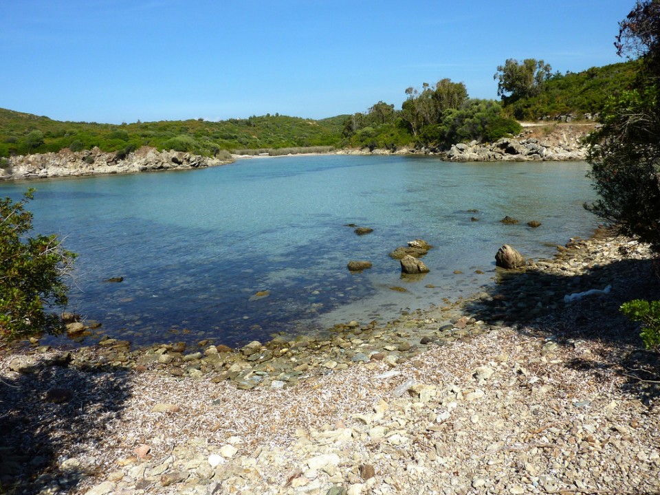 Malfalcu