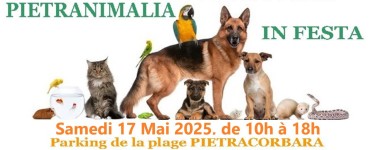 Pietranimalia in Festa 2025 - Marine de Pietracorbara - Cap Corse Capicorsu