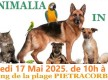 Pietranimalia in Festa 2025 - Marine de Pietracorbara - Cap Corse Capicorsu
