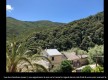 Magna Sottana 2 - Appartement en pleine nature vue mer maquis© - Rogliano - Cap Corse Capicorsu