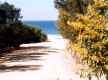 Praia da Aberta Nova