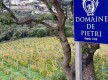 Domaine de Pietri© - Morsiglia - Cap Corse Capicorsu