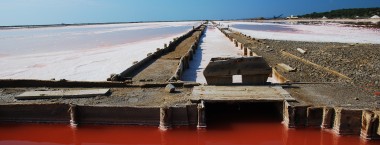 Les Salins de l'Ile Saint-Martin