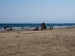 Plage Sauvage De La Vieille Nouvelle