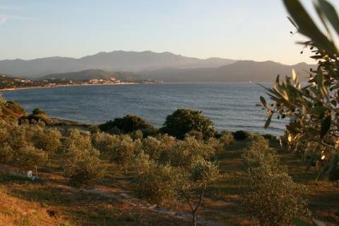 L'Aliva Marina