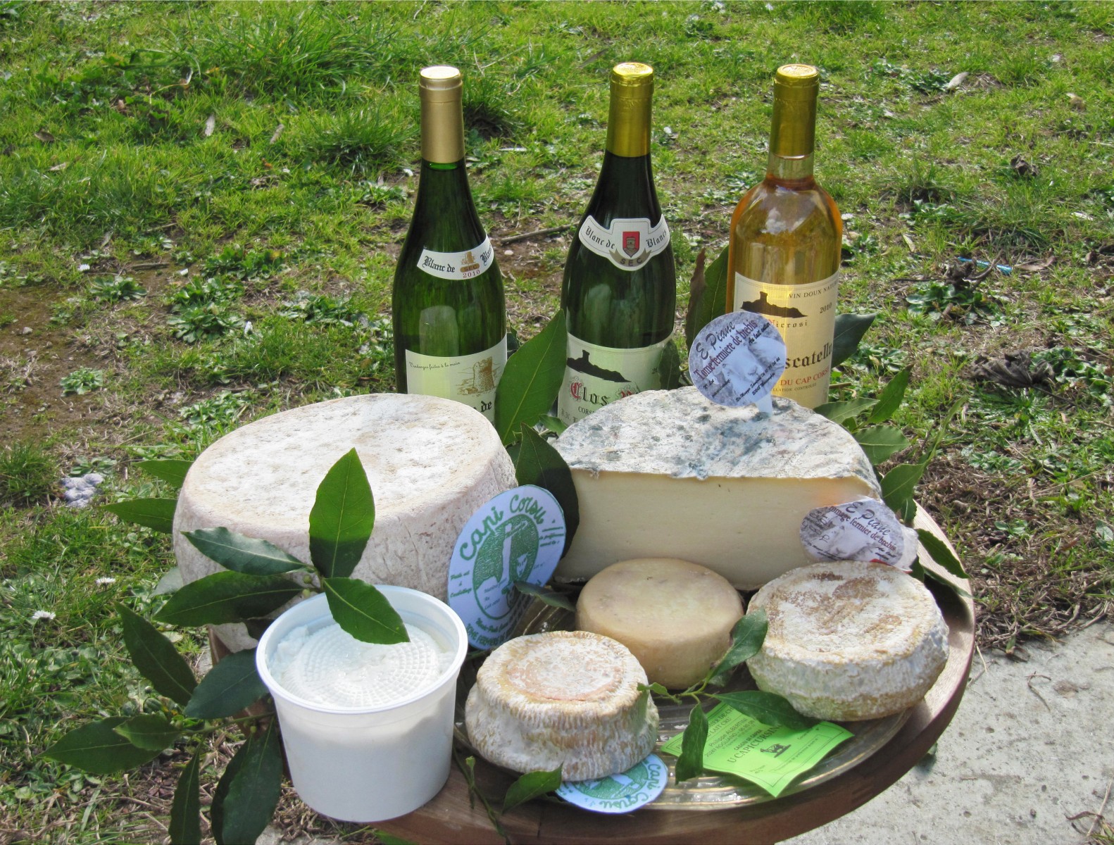 Fromage de Chèvres Sant\'Antoninu - Ersa - Cap Corse