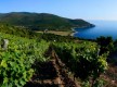 Domaine Pieretti© - Luri - Cap Corse