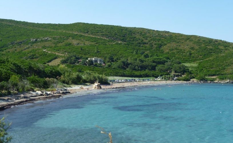 Plage de Misincu (Plage Inclusive) - Porticciolo - Cap Corse Capicorsu