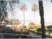 Museo Balear de las Ciencias Naturales y Jardin Botánico