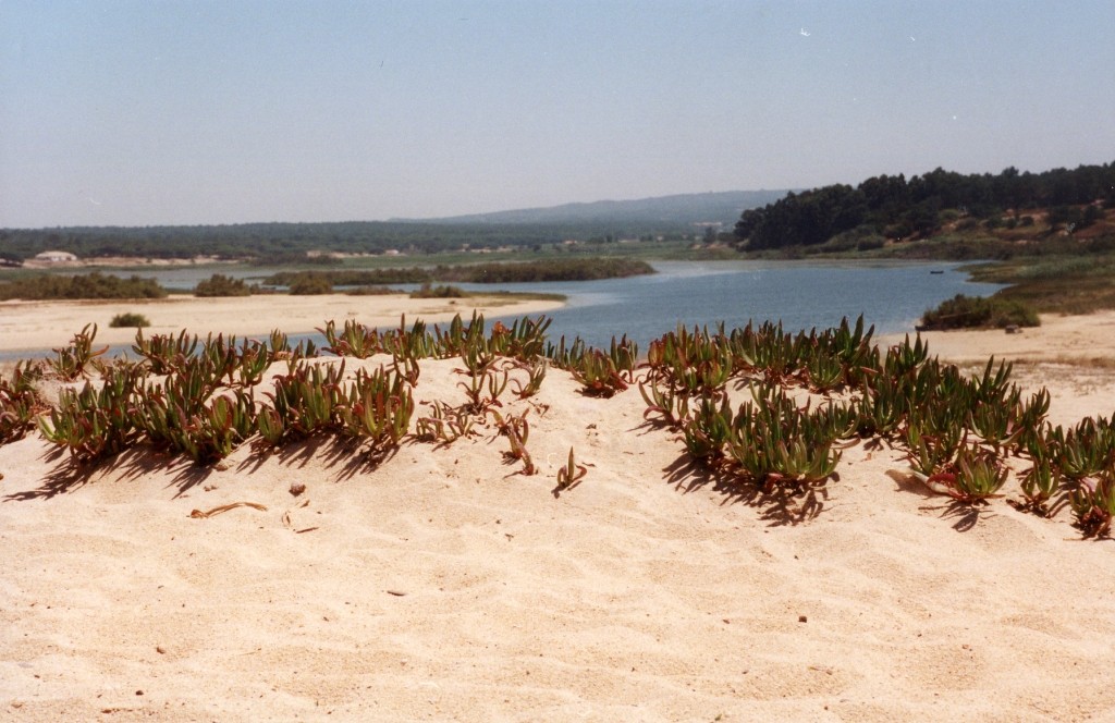 Lagoa de Melides