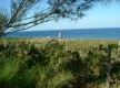 La vigne, la mer, l'histoire (Ph. JN.LUIGI©)