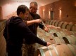 Domaine Comte péraldi