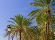 Paseo Maritimo