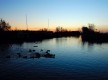 Lago di Massaciuccoli