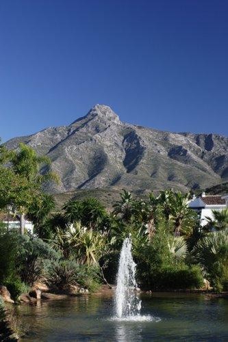 Jardin Botánico Del Angel