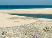 Praia de Melides