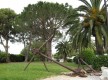 Juan-les-Pins - Gallice
