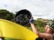 Week-end vendanges