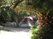Camping SANTA MARINA, Santa Severa - LURI