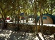 Camping-Caravaning L'Isulottu*** - Morsiglia - Cap Corse