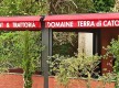 Restaurant Trattoria - Domaine Terra di Catoni© - Erbalonga - Cap Corse