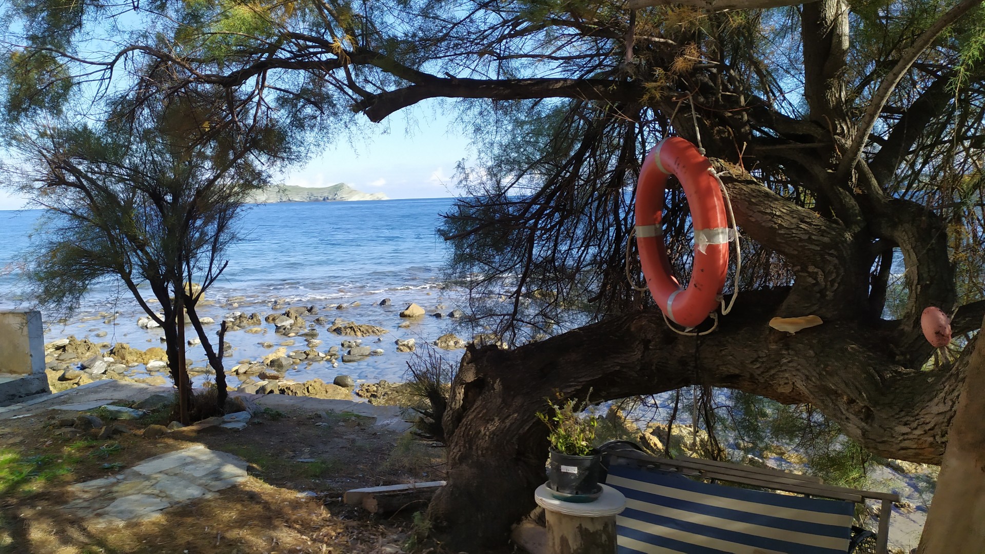 Chez Marlène - Snack - Tollare - Ersa - Cap Corse