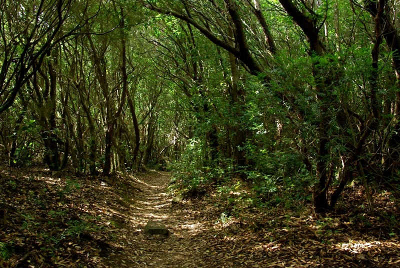 Monte Santu