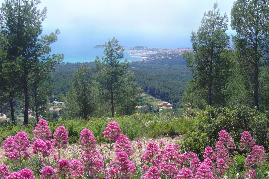 Le sentier des Grenouilles