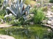 Jardin exotique de Sanary sur mer