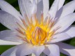 Jardin exotique de Sanary sur mer