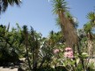 Jardin exotique de Sanary sur mer