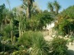 Jardin exotique de Sanary sur mer