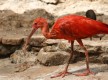 Zoo de Sanary sur mer