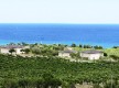 vignes du domaine de Solenzara