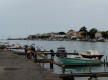 La Tamarissi