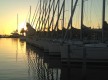 Le Grau du Roi / Port Camargue