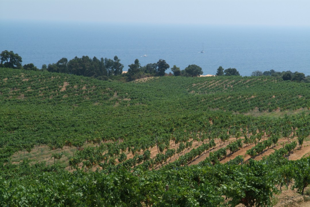 Domaine de Solenzara