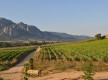 Domaine Castellu di Baricci